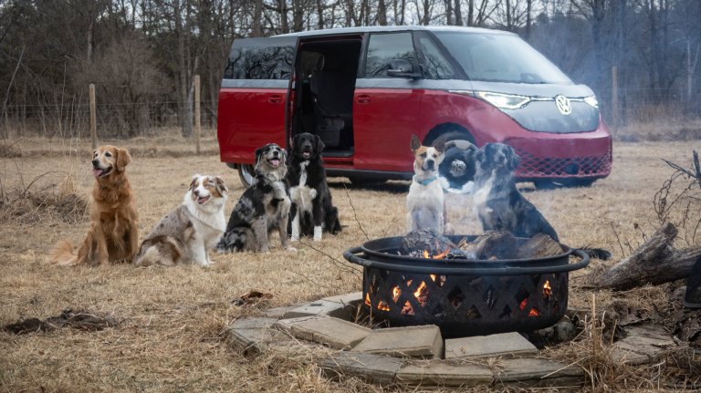We Packed Six Dogs Into a 2025 Volkswagen ID Buzz and Everybody Loved It